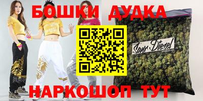 мдпв Будённовск