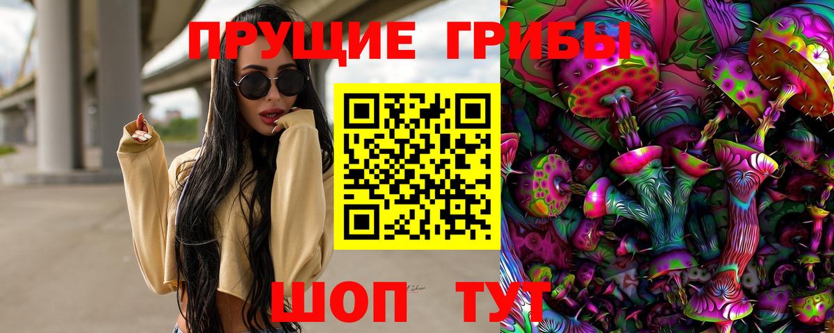 Галлюциногенные грибы Psilocybe Пермь